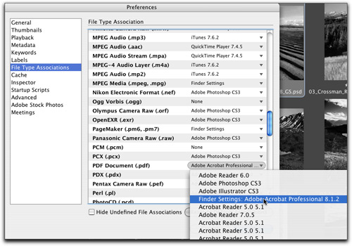 edit file details in adobe bridge