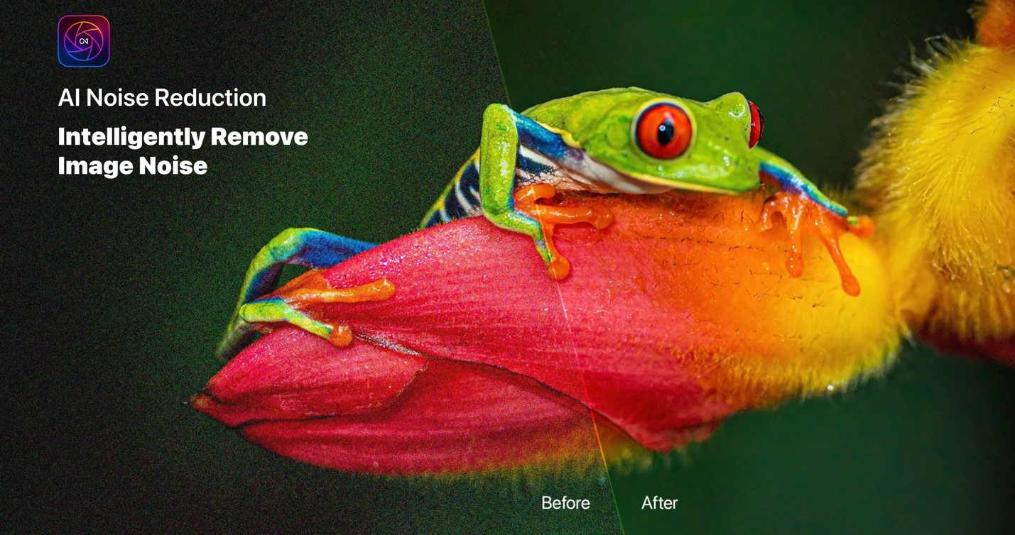 Discover ON1 Photo RAW 2024–Amazing Photo Editing Software