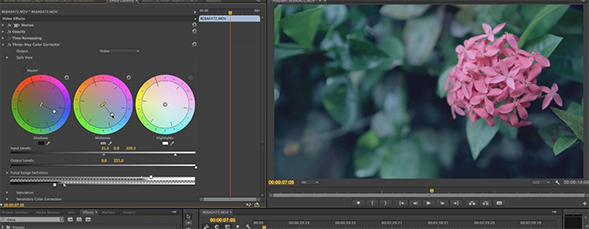 cara menggunakan adobe premiere pro cs4