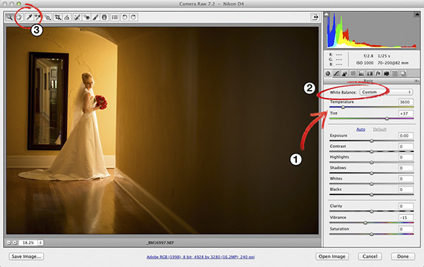 download camera raw photoshop cs5